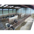 Poultry Farm Industrial Metal Frame Steel Prefabricated Cattle Barn Agricultural Shed